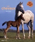 Image de Les chevaux