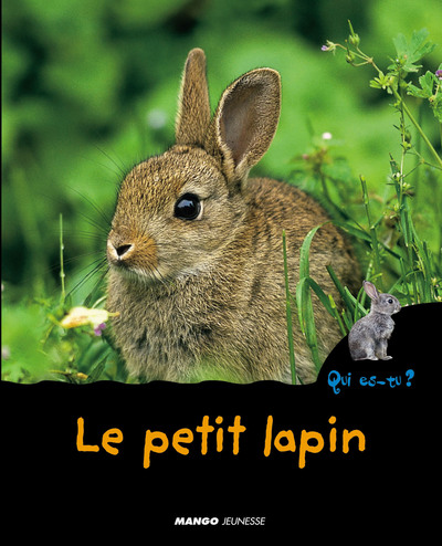 Image de Le petit lapin