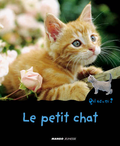 Image de Le petit chat
