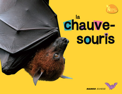 Image de LA CHAUVE SOURIS
