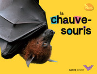Image de LA CHAUVE SOURIS