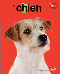 Image de Le chien