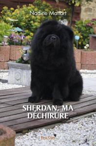 Picture of Sherdan, ma déchirure