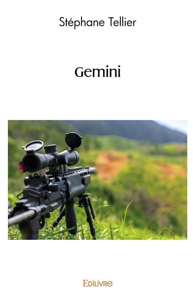 Picture of Gemini