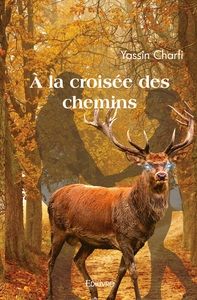 Picture of À la croisée des chemins