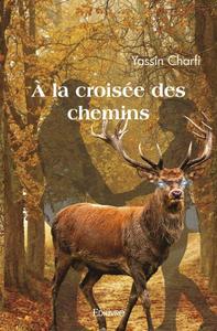 Picture of à la croisée des chemins