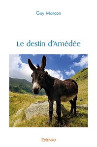 Image de Le destin d'Amédée