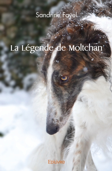 Picture of La Légende de Moltchan