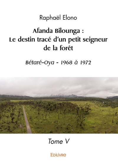 Picture of Afanda Bilounga : Le destin tracé d'un petit seigneur de la forêt - Tome 5