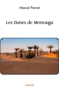 Picture of Les Dunes de Merzouga