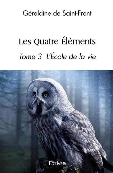Picture of Les Quatre Éléments - Tome 3