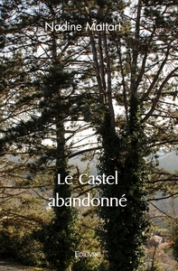Picture of Le Castel abandonné
