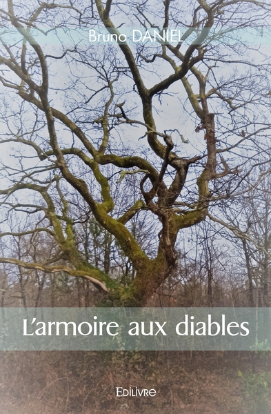 Image de L'armoire aux diables