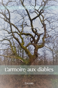 Image de L'armoire aux diables