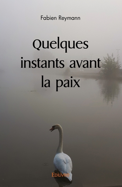 Picture of Quelques instants avant la paix