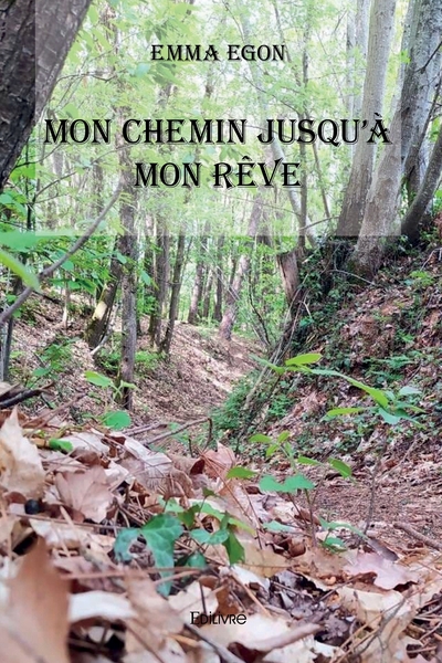 Image de Mon chemin jusqu'à mon rêve