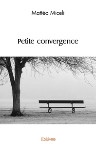 Picture of Petite convergence