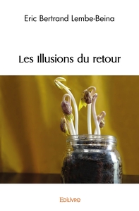 Image de Les Illusions du retour