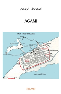 Image de AGAMI