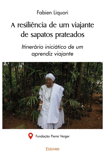 Image de A resiliência de um viajante de sapatos prateados