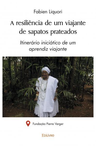 Image de A resiliência de um viajante  de sapatos prateados