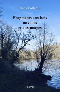 Picture of Fragments aux bois aux lacs et aux nuages