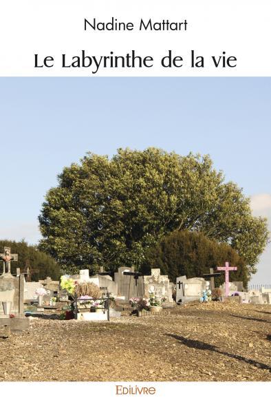 Picture of Le labyrinthe de la vie