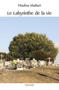Picture of Le labyrinthe de la vie