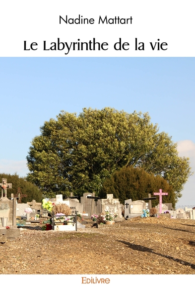 Picture of Le Labyrinthe de la vie