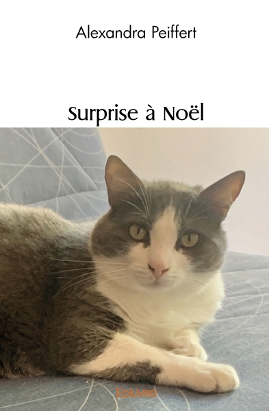 Image de Surprise à Noël