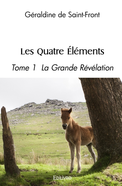 Picture of Les Quatre Éléments - Tome 1