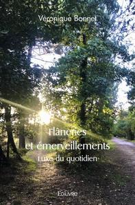 Image de Flâneries et émerveillements