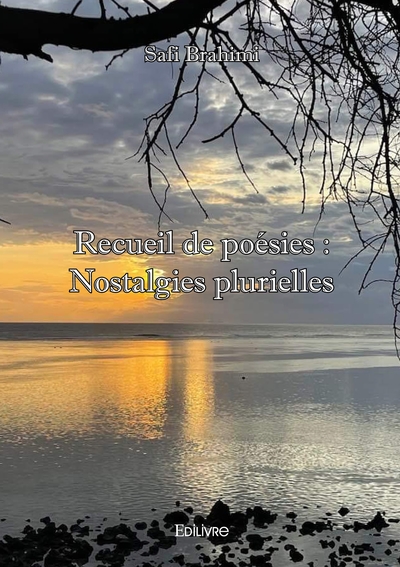 Picture of Recueil de poésies : Nostalgies plurielles