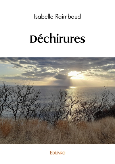 Picture of Déchirures