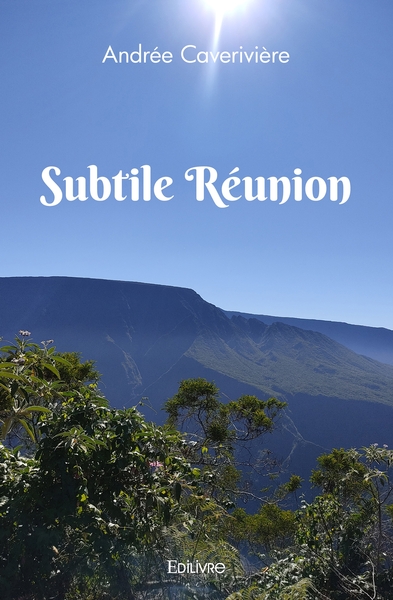 Image de Subtile Réunion