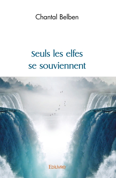Image de Seuls les elfes se souviennent
