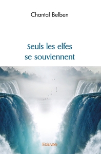 Image de Seuls les elfes se souviennent