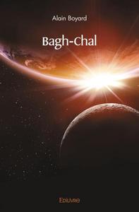 Picture of Bagh chal