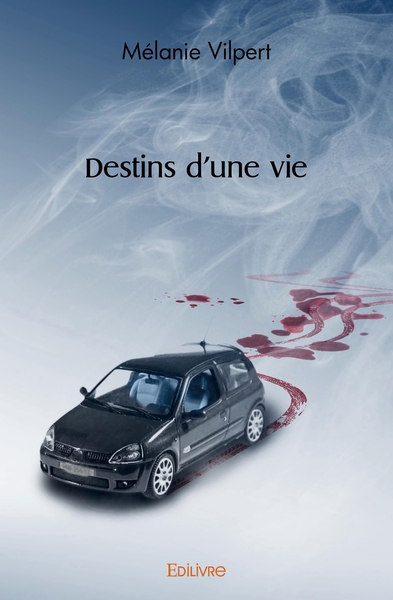Image de Destins d'une vie