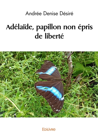 Picture of Adélaïde, papillon non épris de liberté