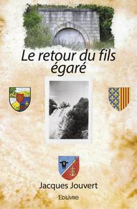 Picture of Le retour du fils égaré