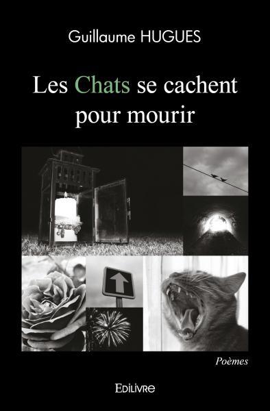 Picture of Les chats se cachent pour mourir