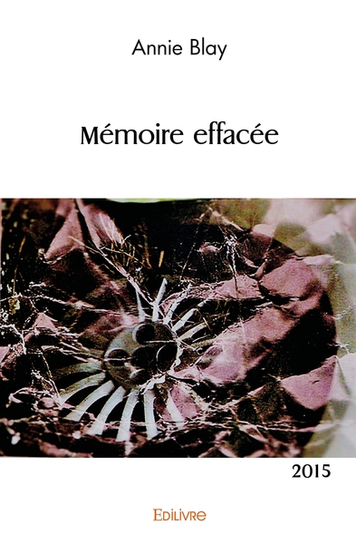 Image de Mémoire effacée
