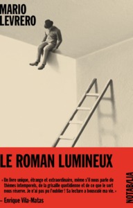 Picture of Le roman lumineux