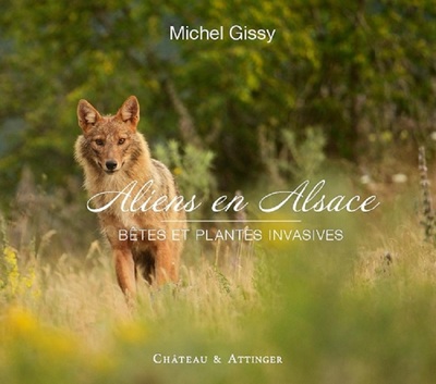 Picture of ALIENS EN ALSACE