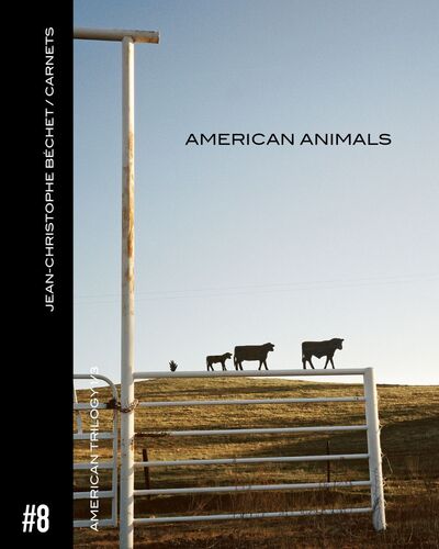 Image de Carnet #8. American Animals.
