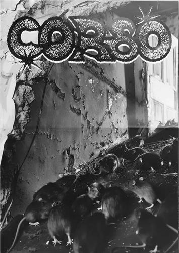 Picture of Corso /anglais