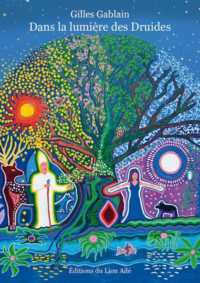 Image de DANS LA LUMIÈRE DES DRUIDES