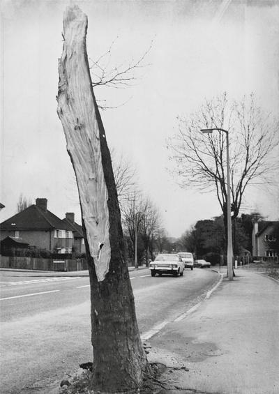 Image de The Luton auguries