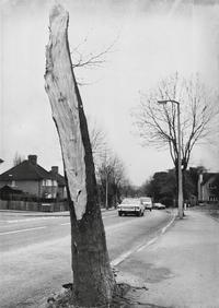 Image de The Luton auguries